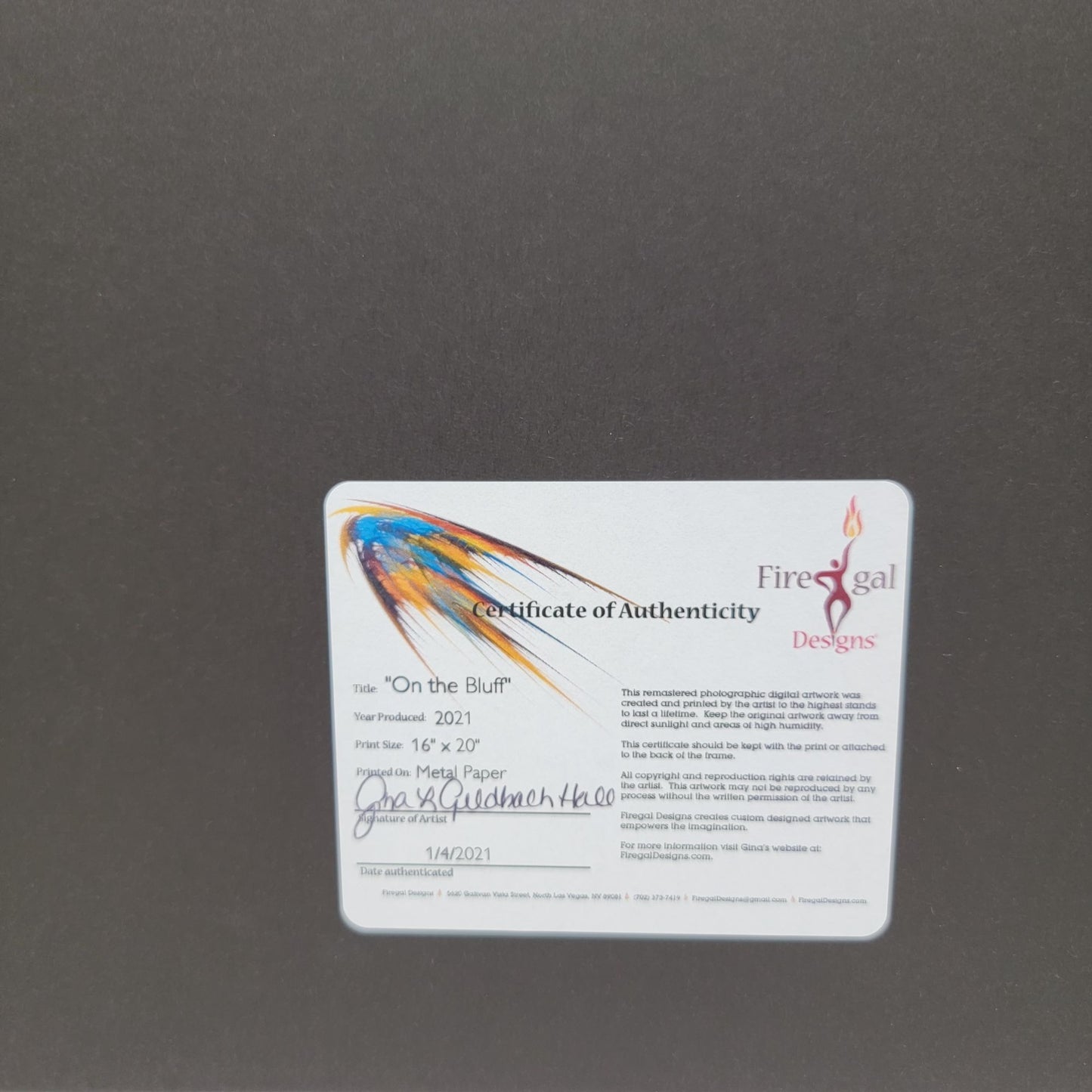 "On The Bluff" 16x20" Photograph Print By Gina Geldbach-Hall Firegal Designs COA