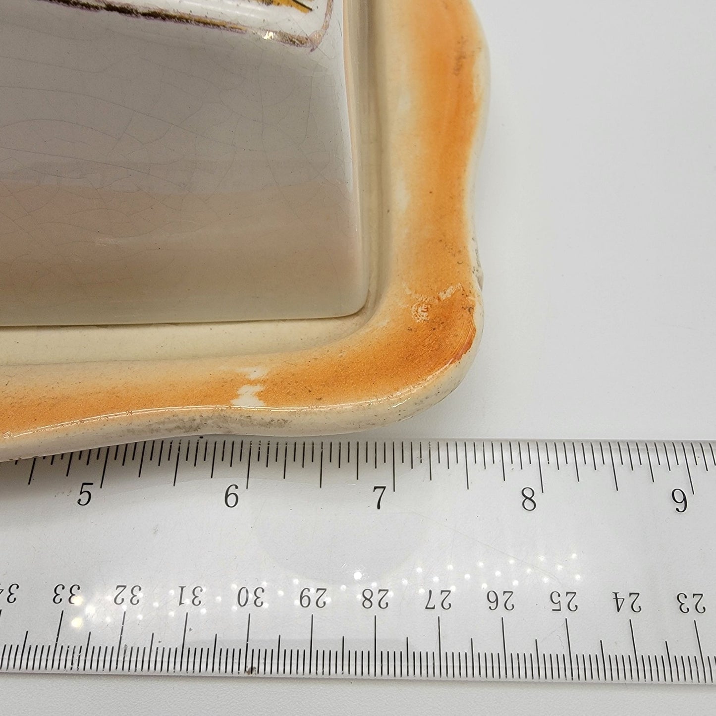 Antique Porcelain Cheese Keeper Dish