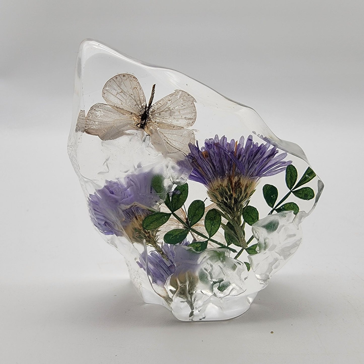 Short-Tailed Blue Butterfly Floral Taxidermy Acrylic Paperweight