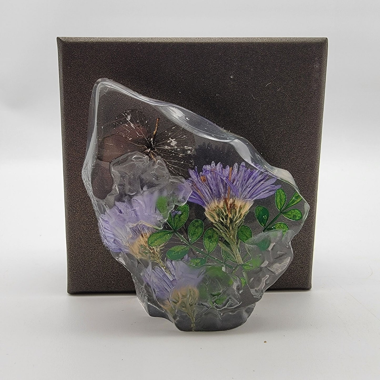 Short-Tailed Blue Butterfly Floral Taxidermy Acrylic Paperweight