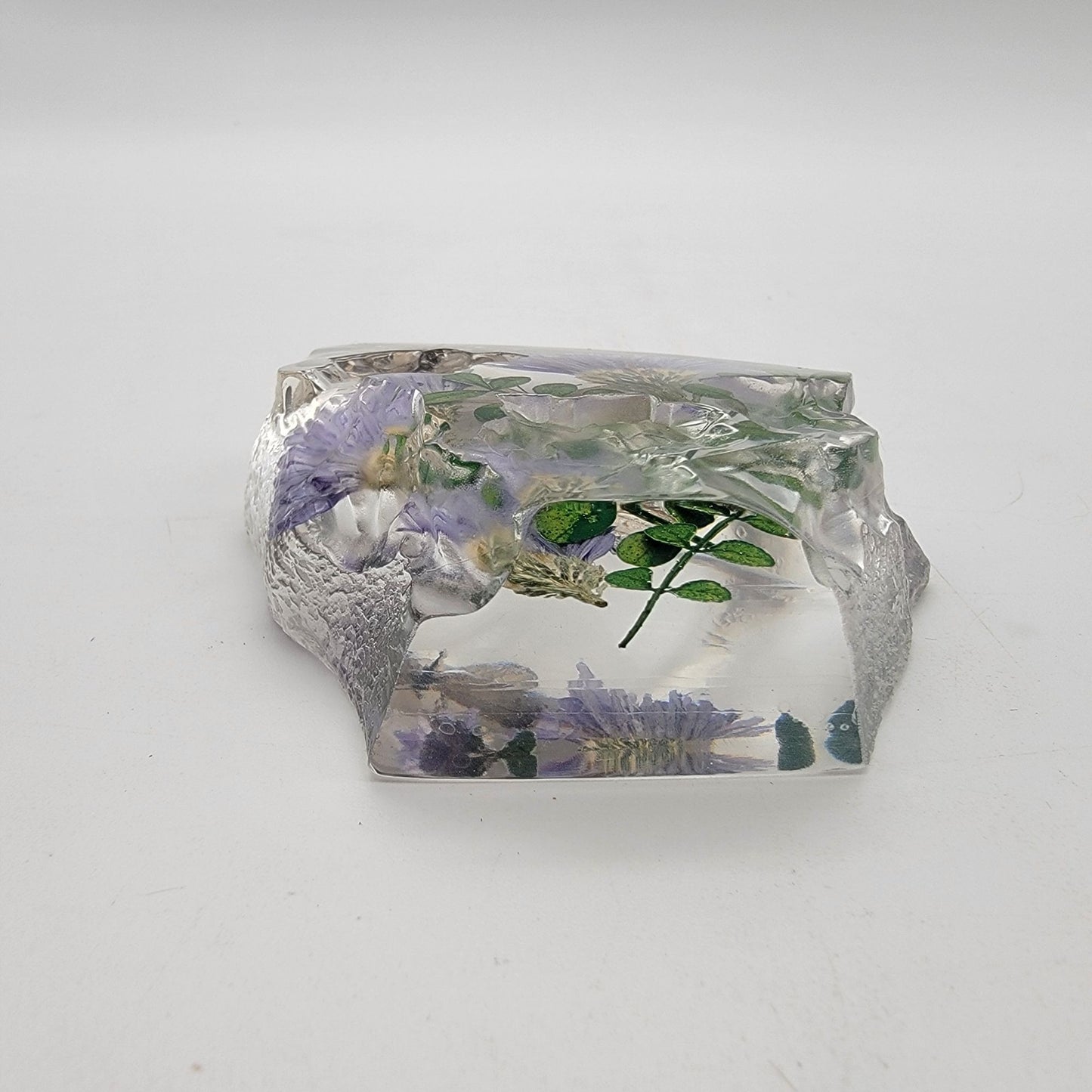 Short-Tailed Blue Butterfly Floral Taxidermy Acrylic Paperweight