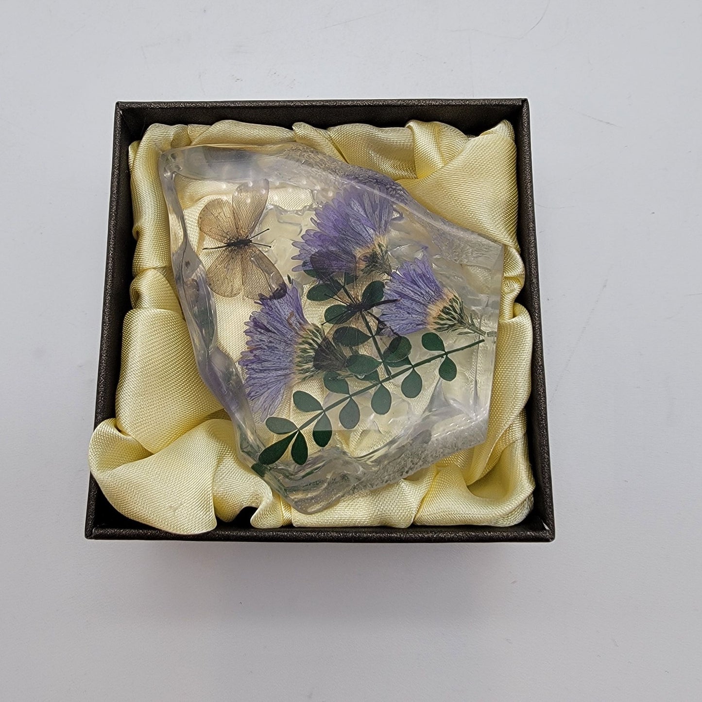 Short-Tailed Blue Butterfly Floral Taxidermy Acrylic Paperweight