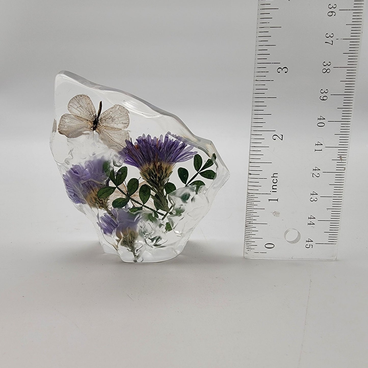 Short-Tailed Blue Butterfly Floral Taxidermy Acrylic Paperweight