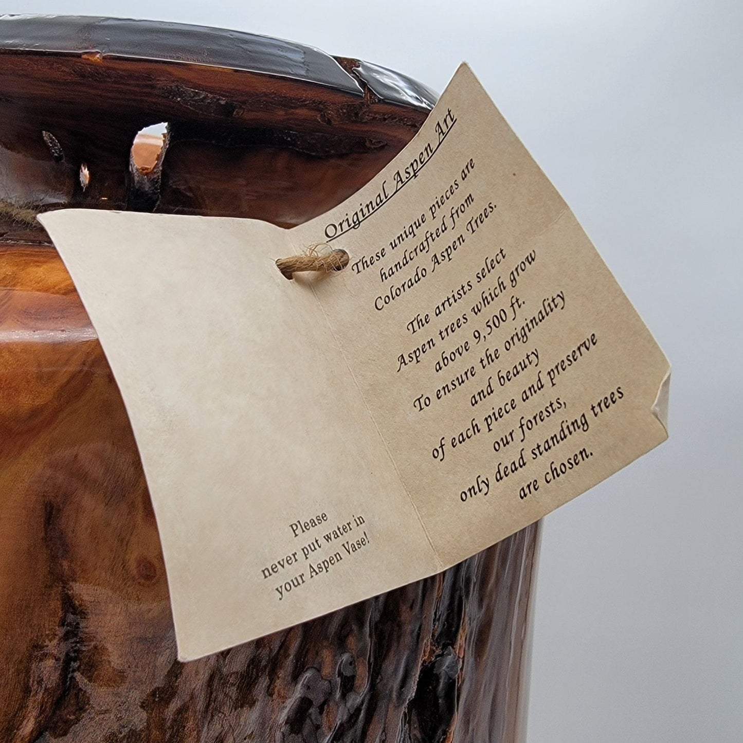 Don Noble Aspen Cove Studios Large Burl Wood Vase