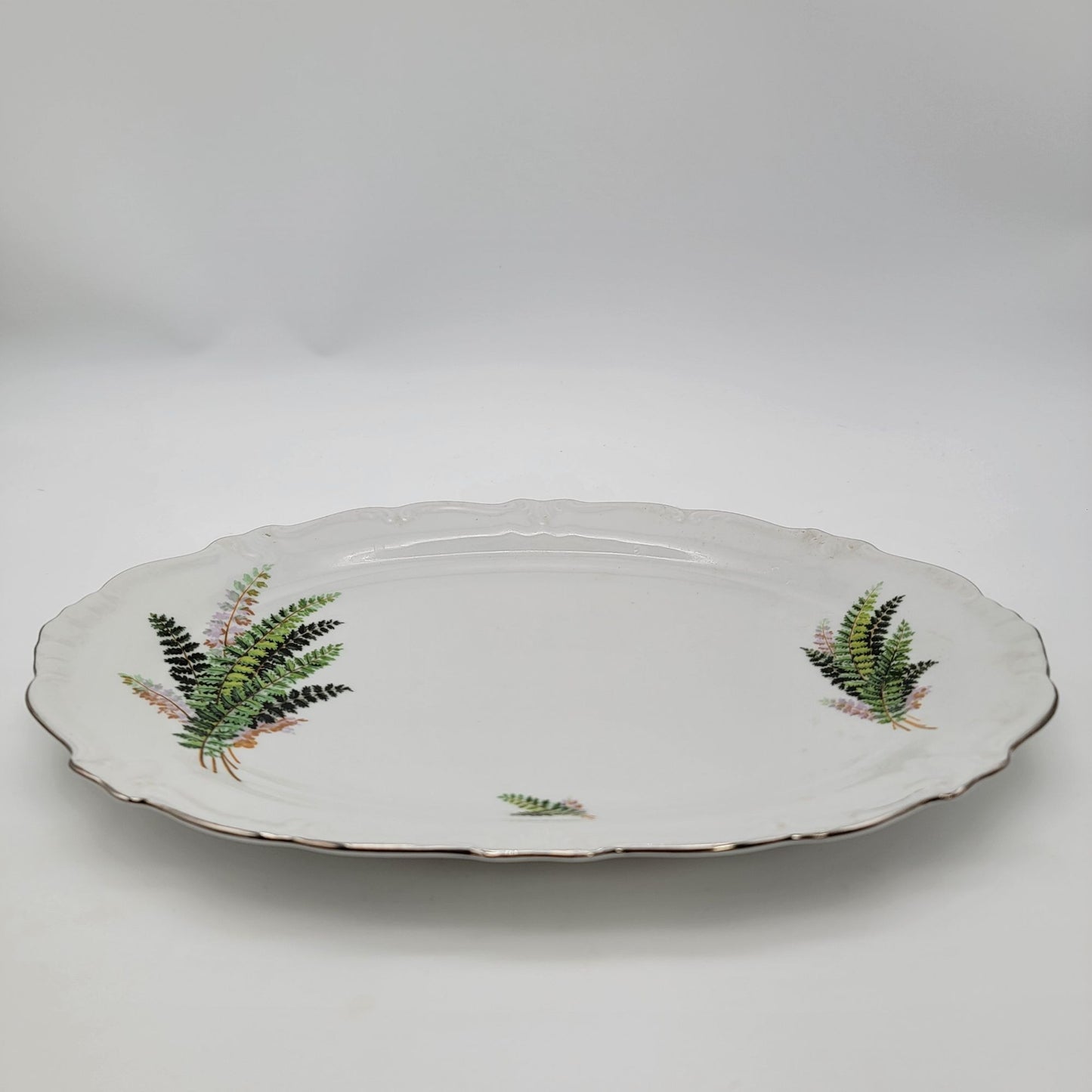 Winterling Bavaria Oval Serving Platter With Fern Design