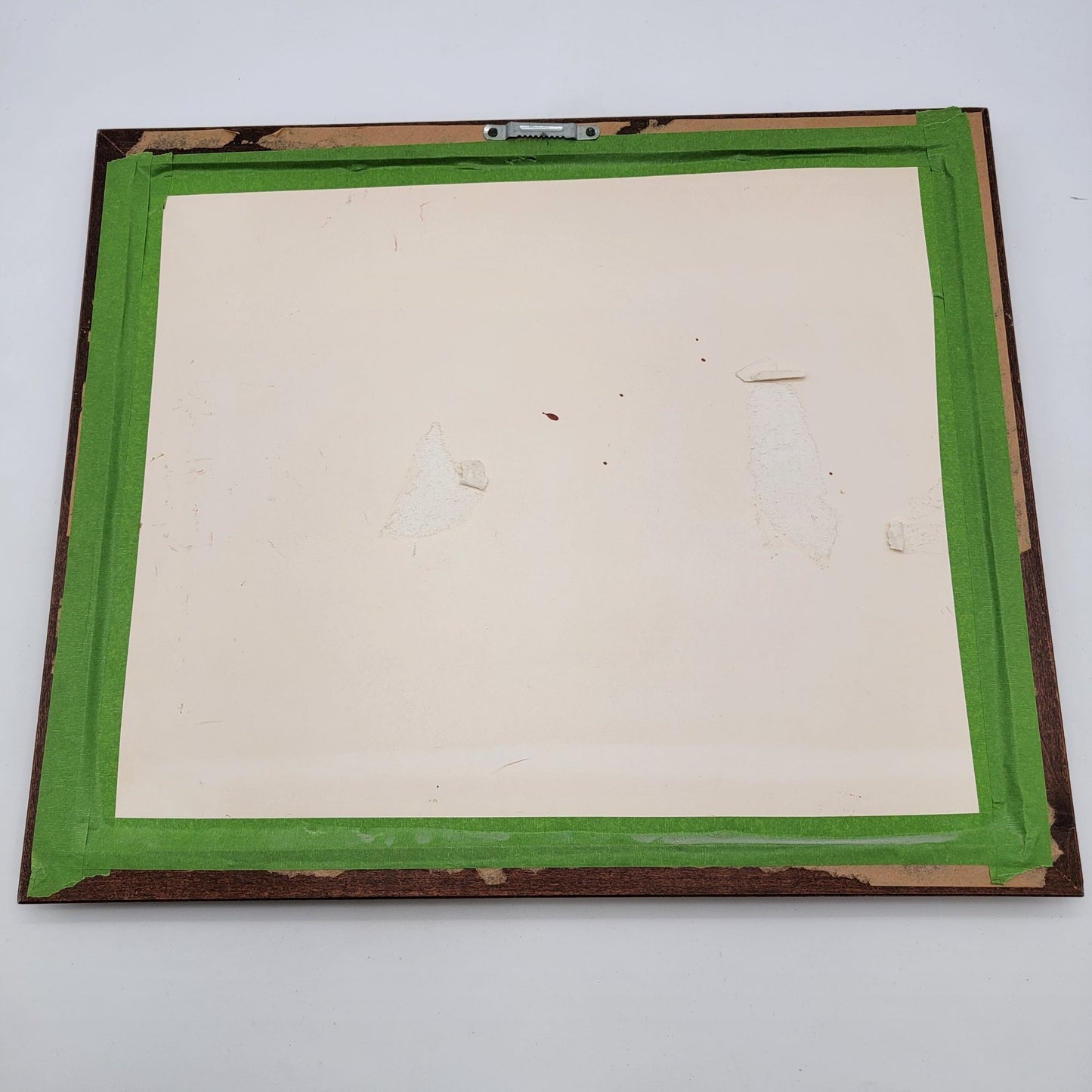 Original Watercolor Painting Of Tropical Fish By June Lowe