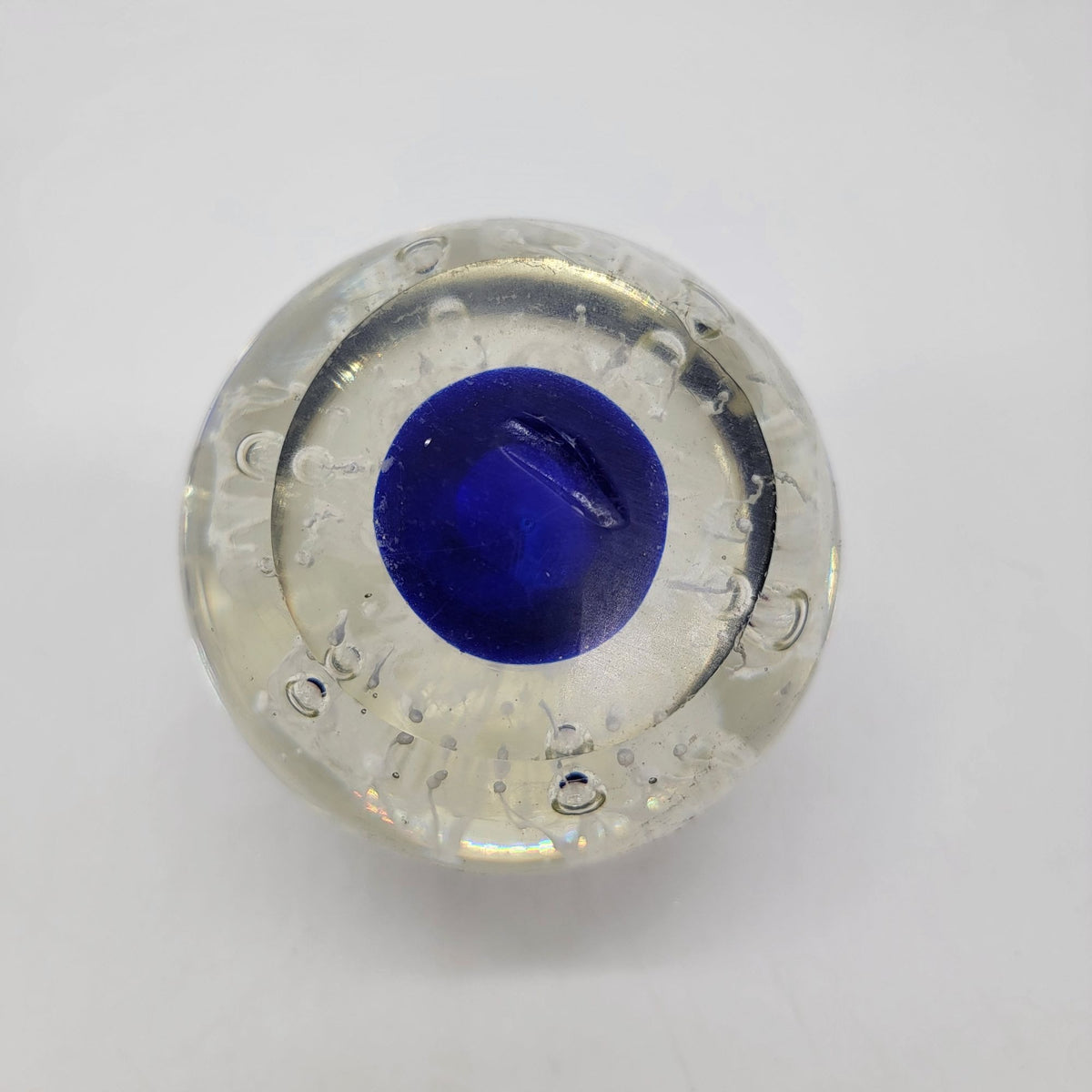 Magnum White Ghost Flower Cobalt Blue Glass Paperweight