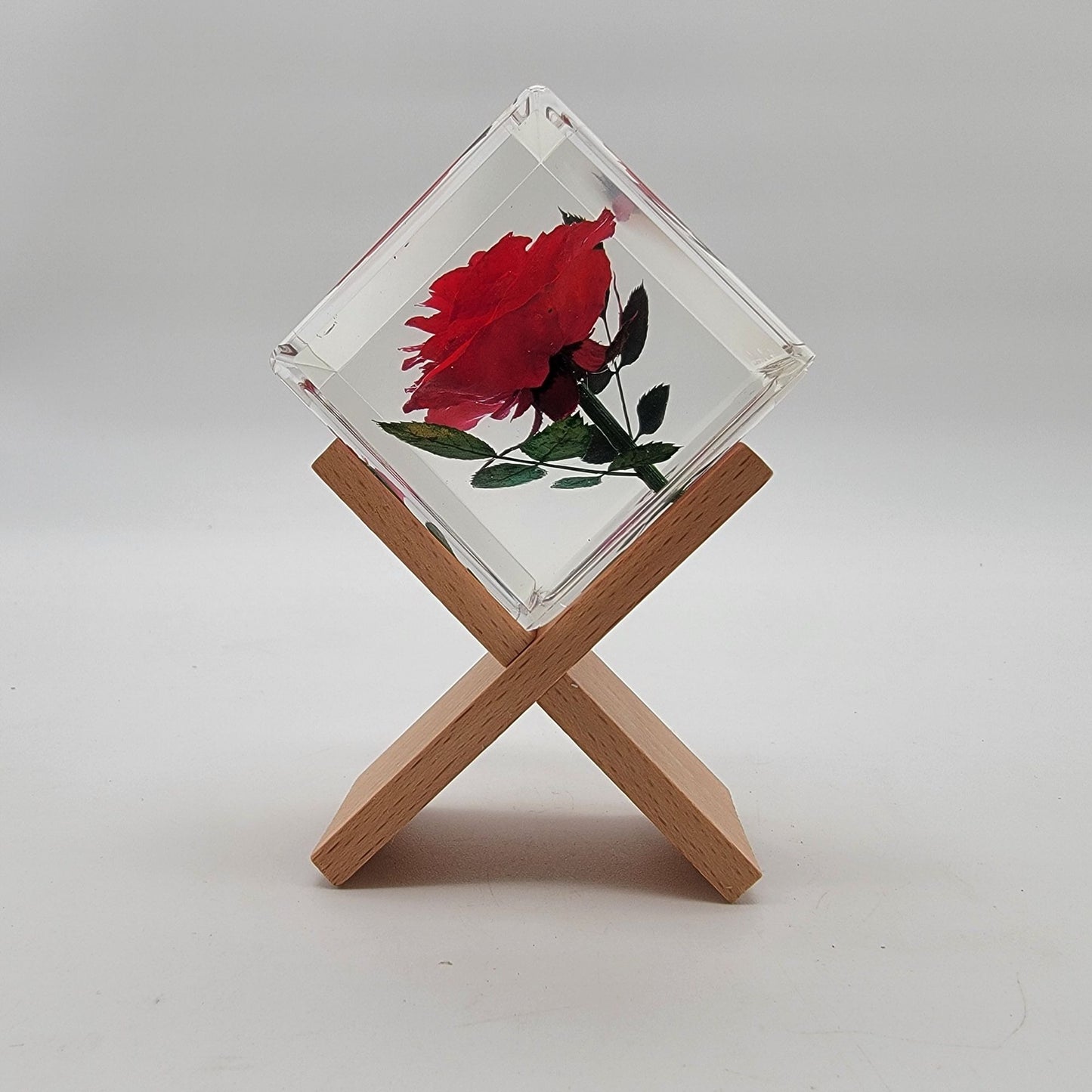 Real Red Rose Lucite Acrylic Cube on Bamboo Stand