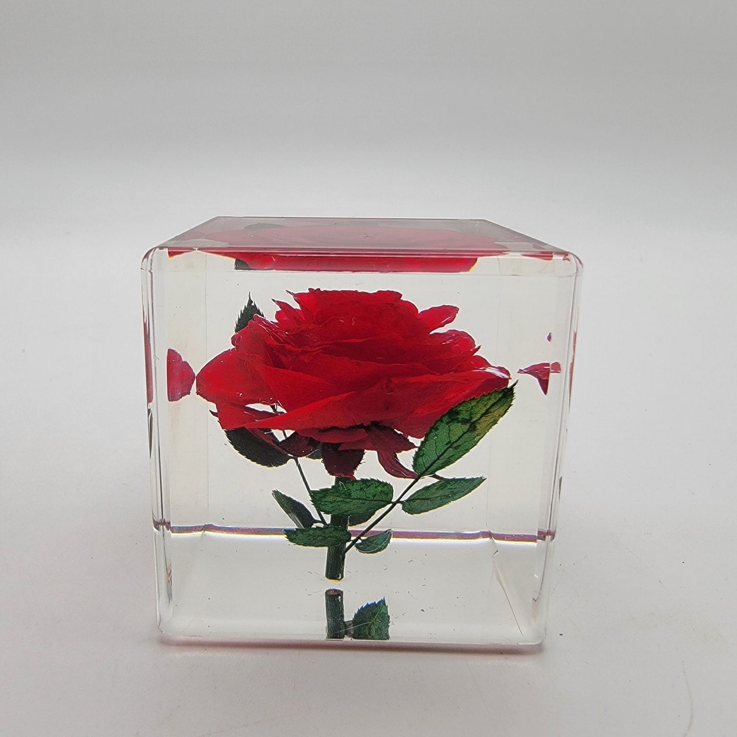 Real Red Rose Lucite Acrylic Cube on Bamboo Stand