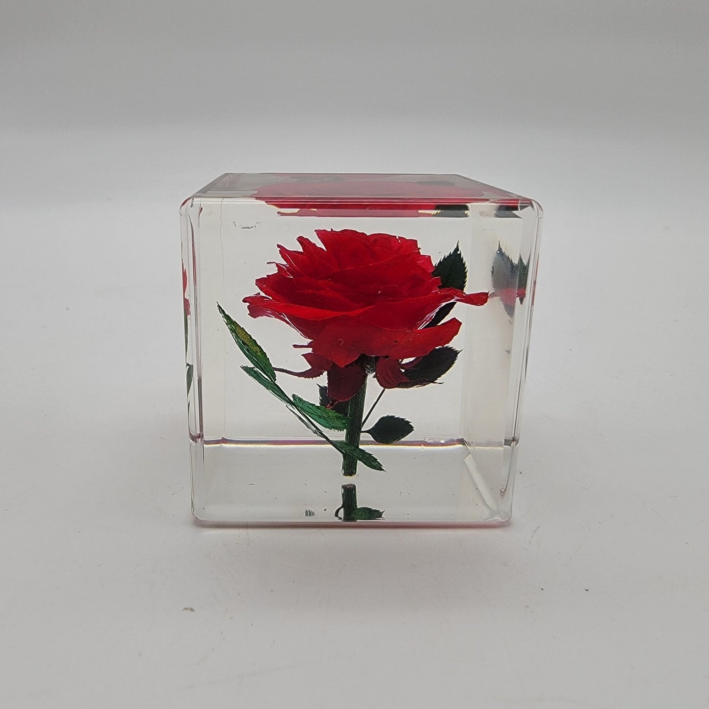 Real Red Rose Lucite Acrylic Cube on Bamboo Stand