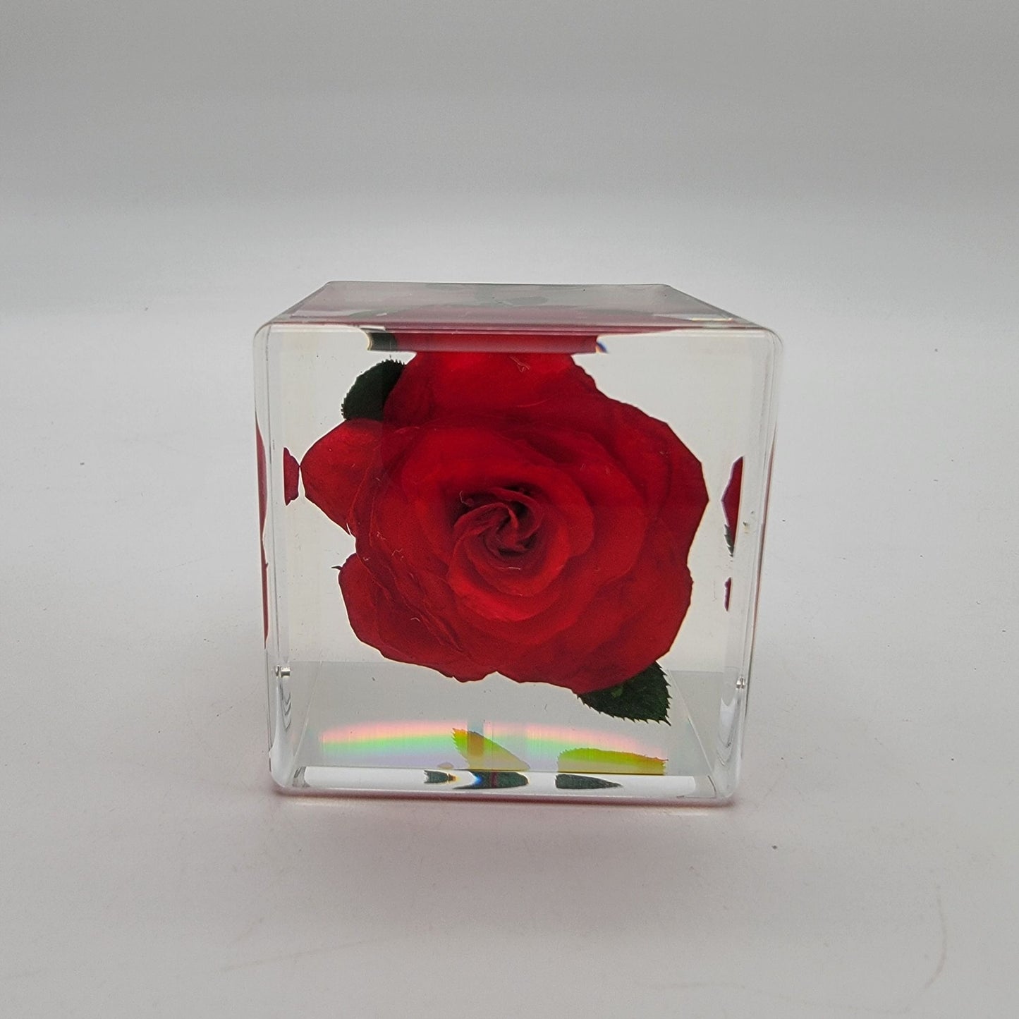 Real Red Rose Lucite Acrylic Cube on Bamboo Stand