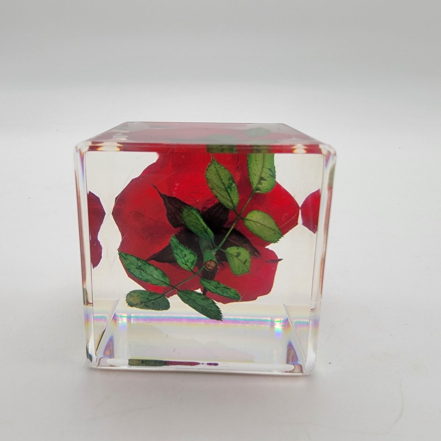 Real Red Rose Lucite Acrylic Cube on Bamboo Stand