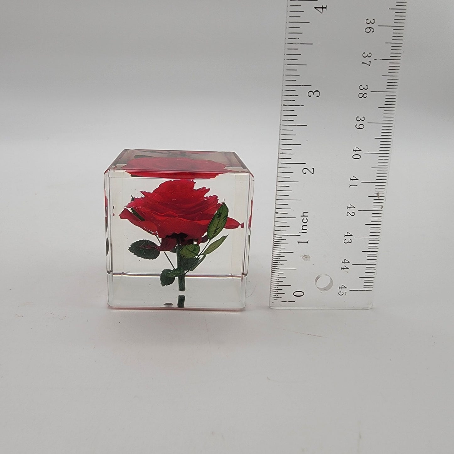 Real Red Rose Lucite Acrylic Cube on Bamboo Stand