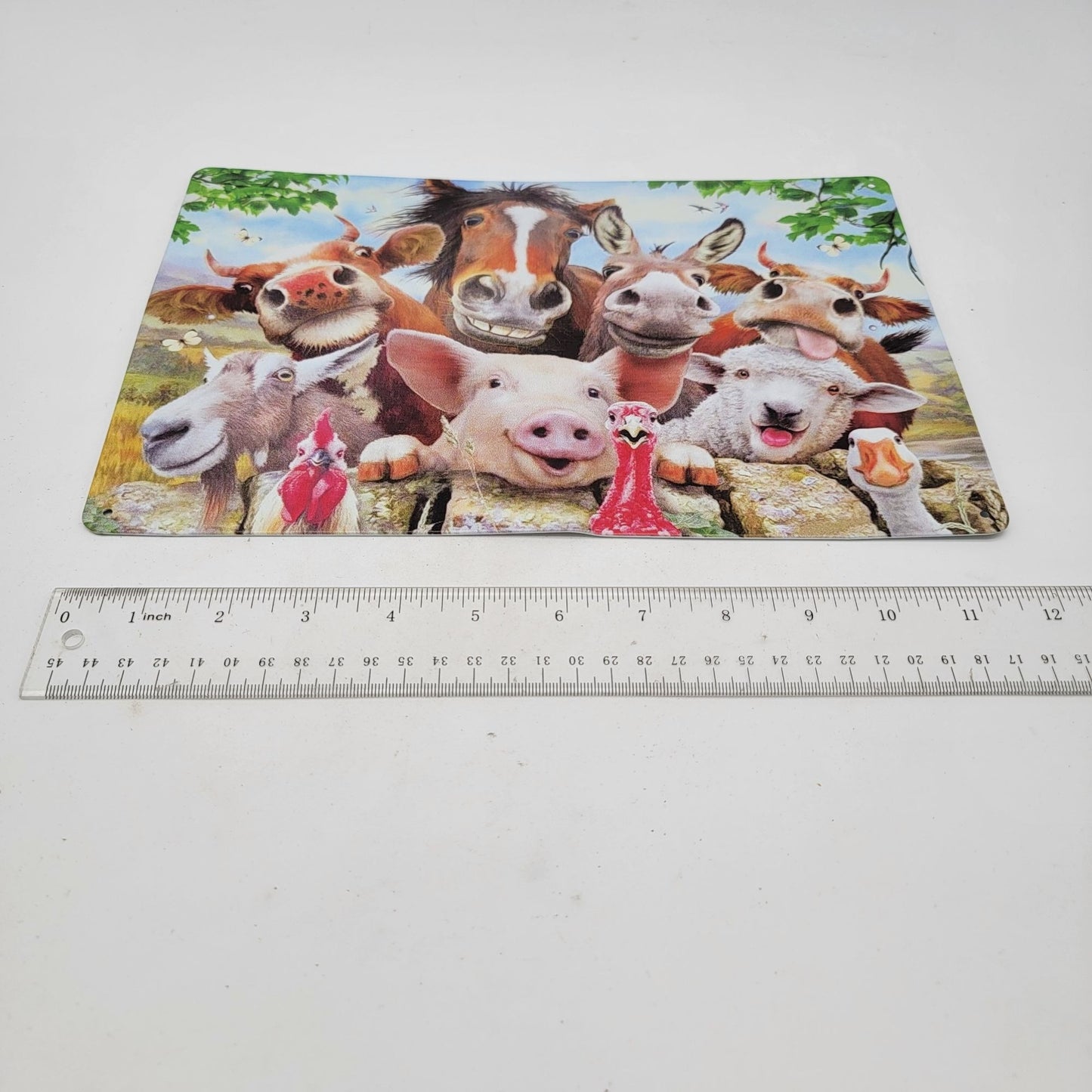 Farm Animal Friends Metal Sign Decor