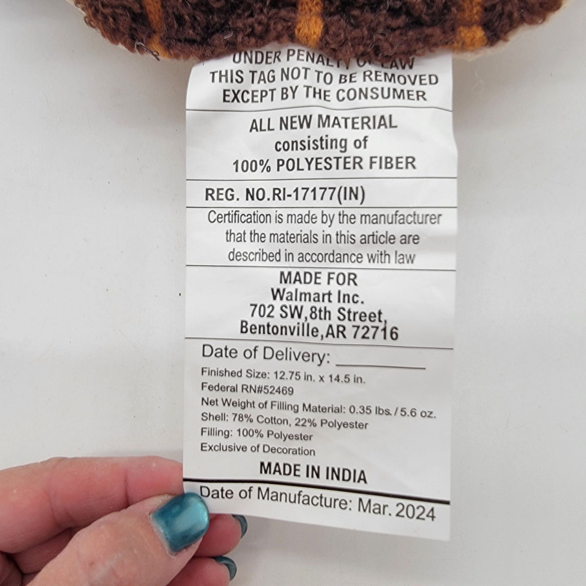 2024 Fall Harvest Acorn Pillow