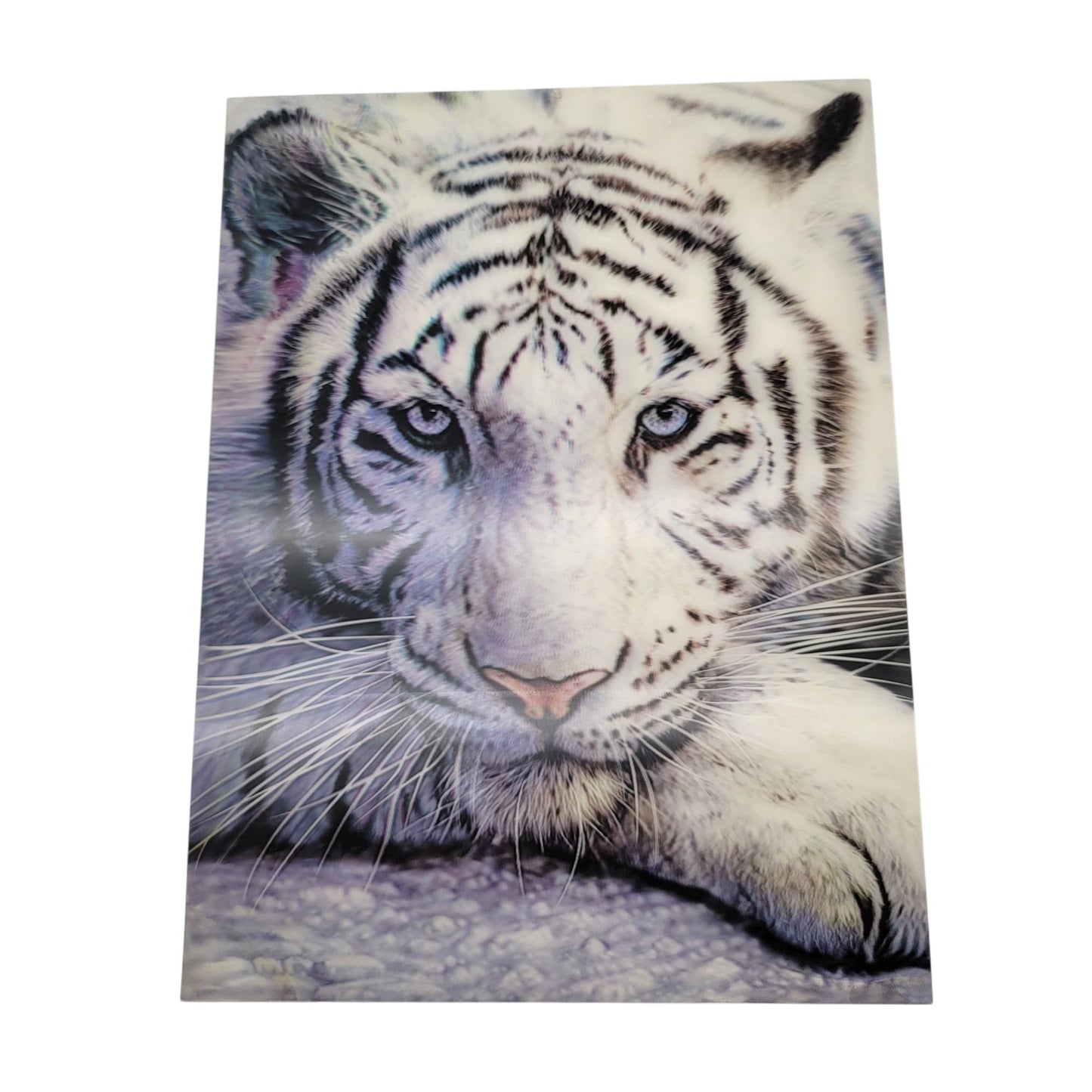 3D LiveLife Picture White Tiger Repose By David Penfound