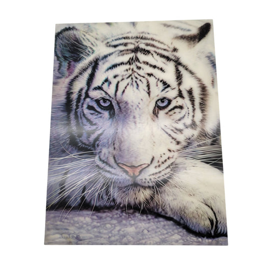 3D LiveLife Picture White Tiger Repose By David Penfound