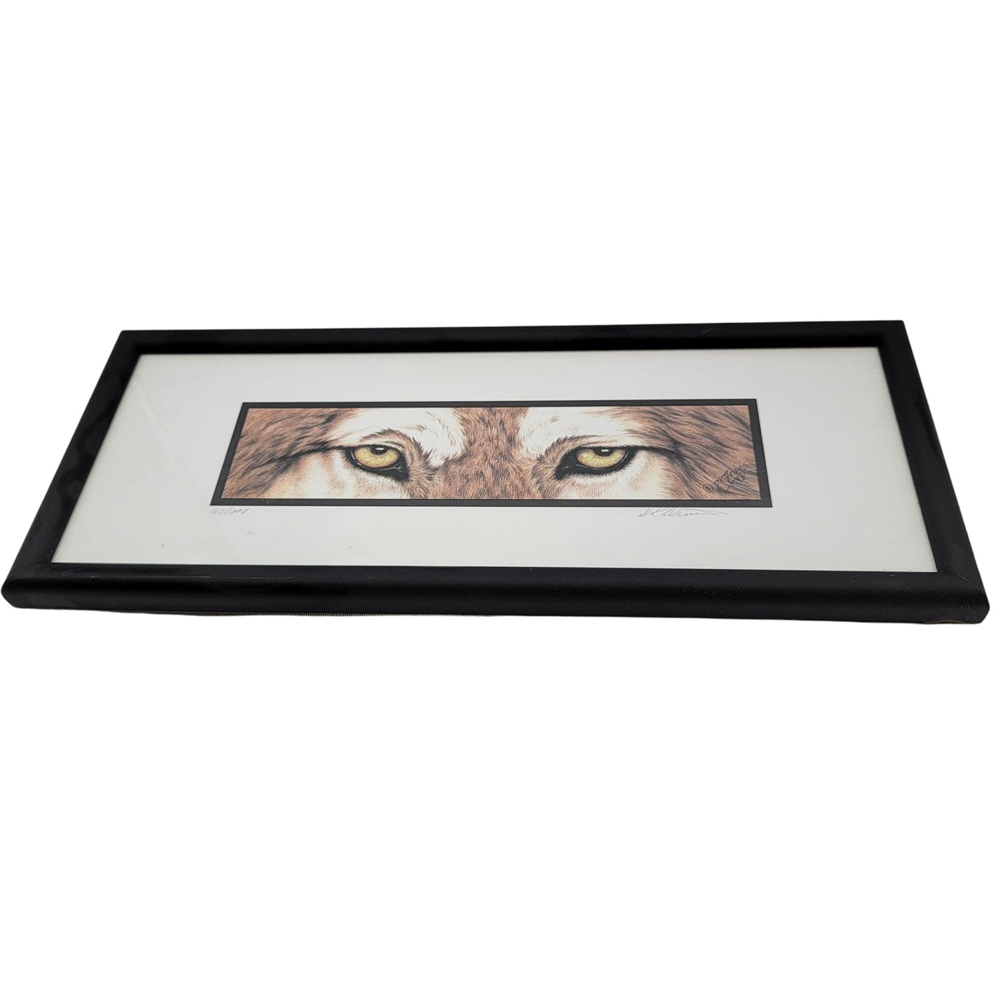 The Predators Brown Wolf Eyes Framed Print By DK Dennis 1993 Horizontal Matted Art 2 Of 3 In Series