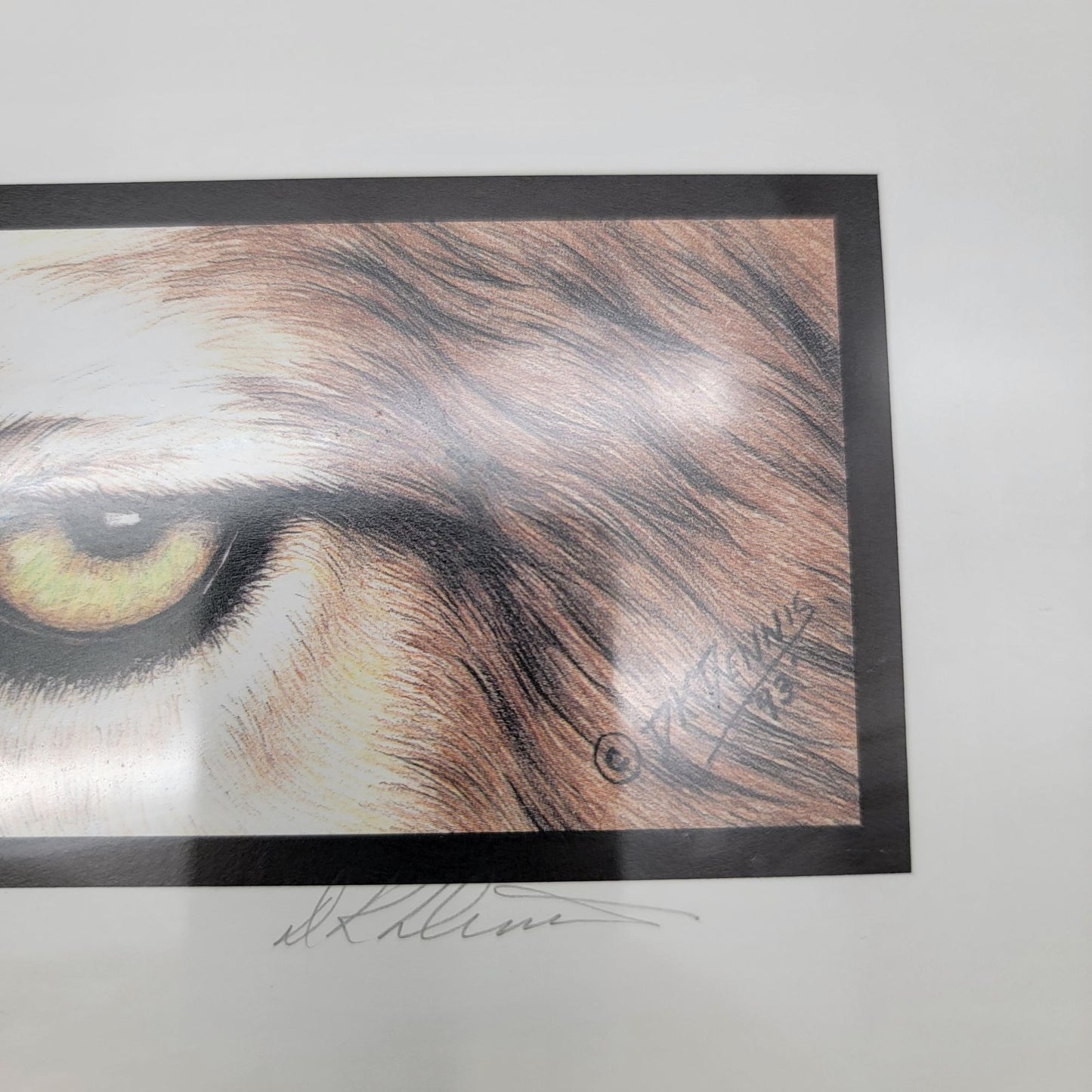 The Predators Brown Wolf Eyes Framed Print By DK Dennis 1993 Horizontal Matted Art 2 Of 3 In Series