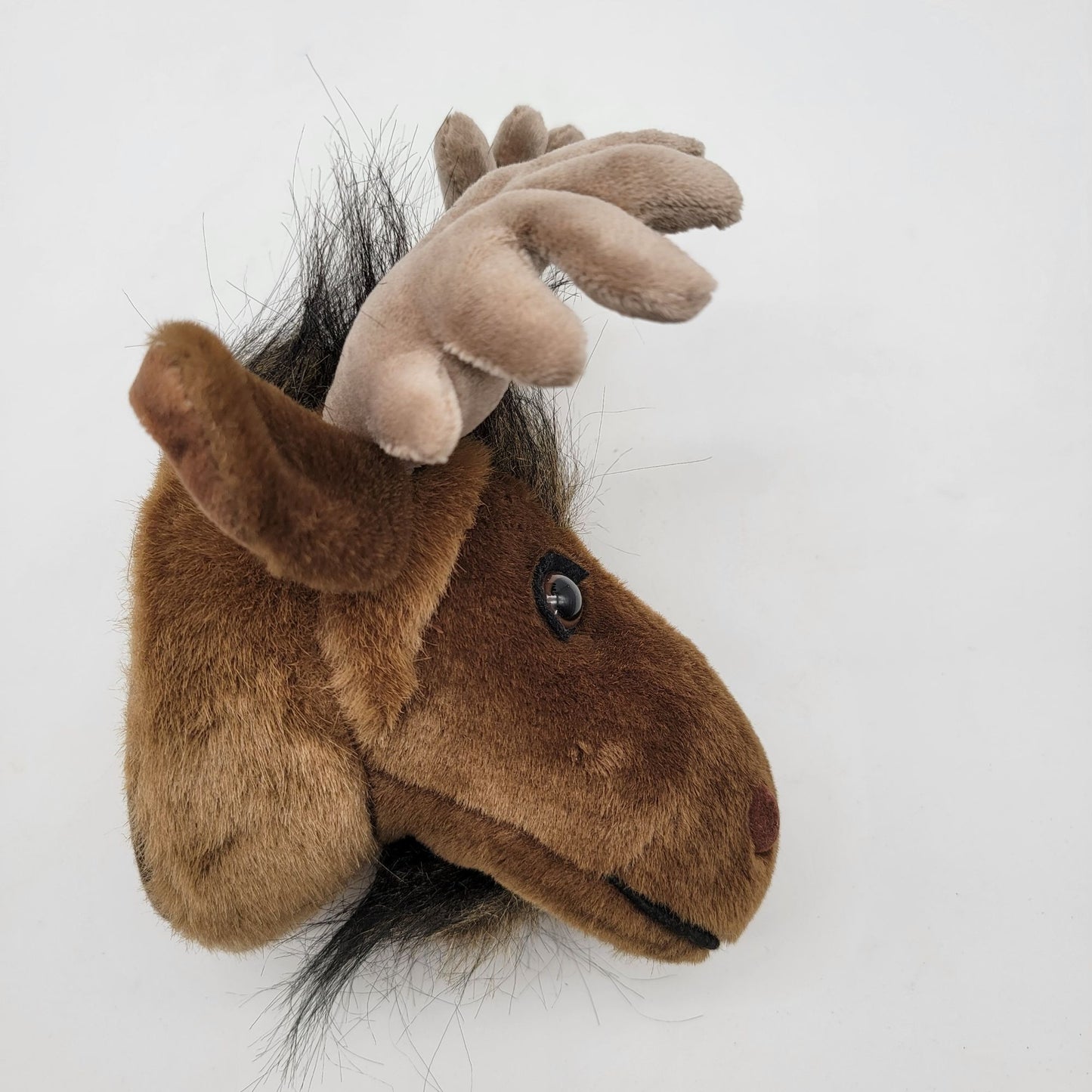Carstens Plush Moose Head Mount Wall Decor