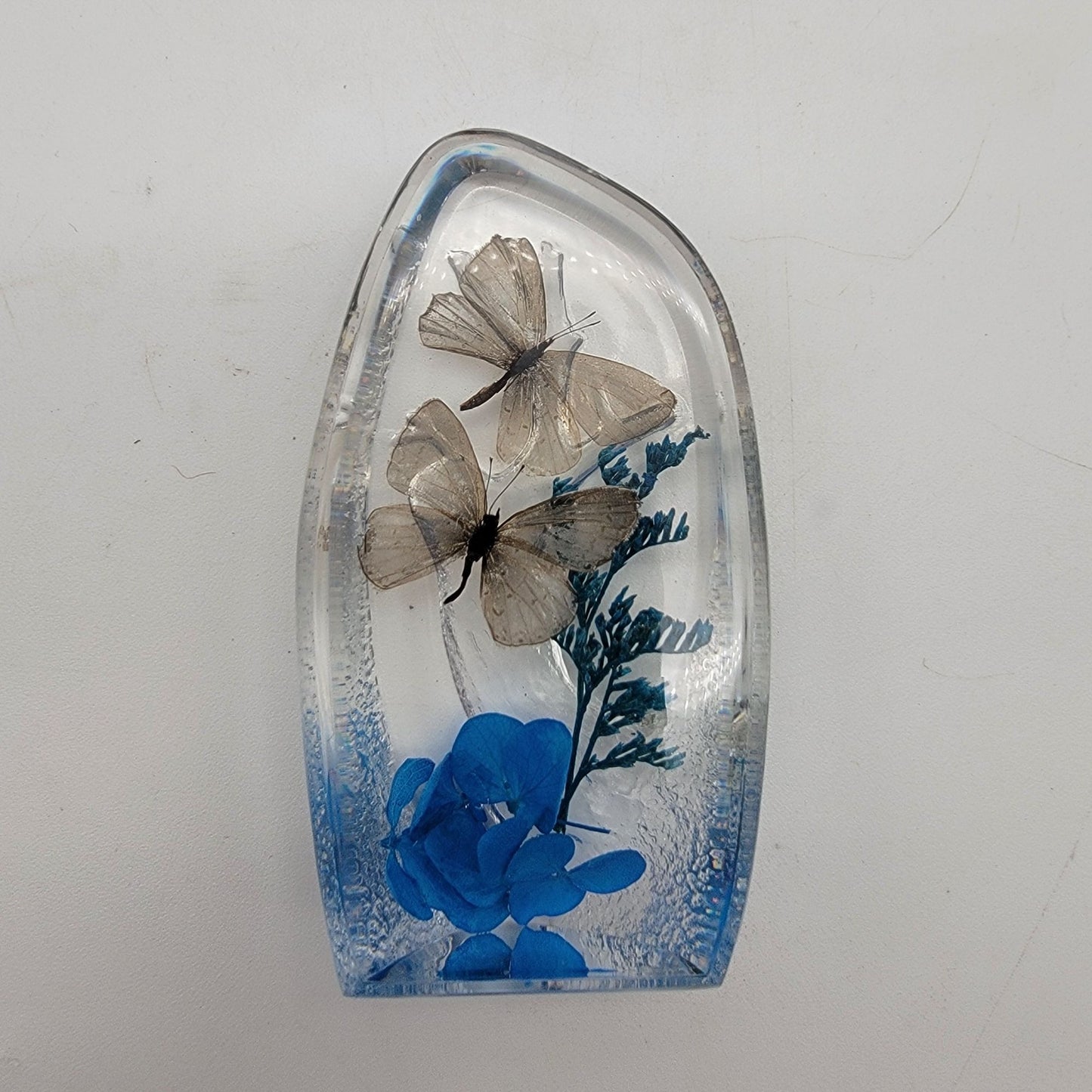 Short-Tailed Butterflies Taxidermy Acrylic Paperweight