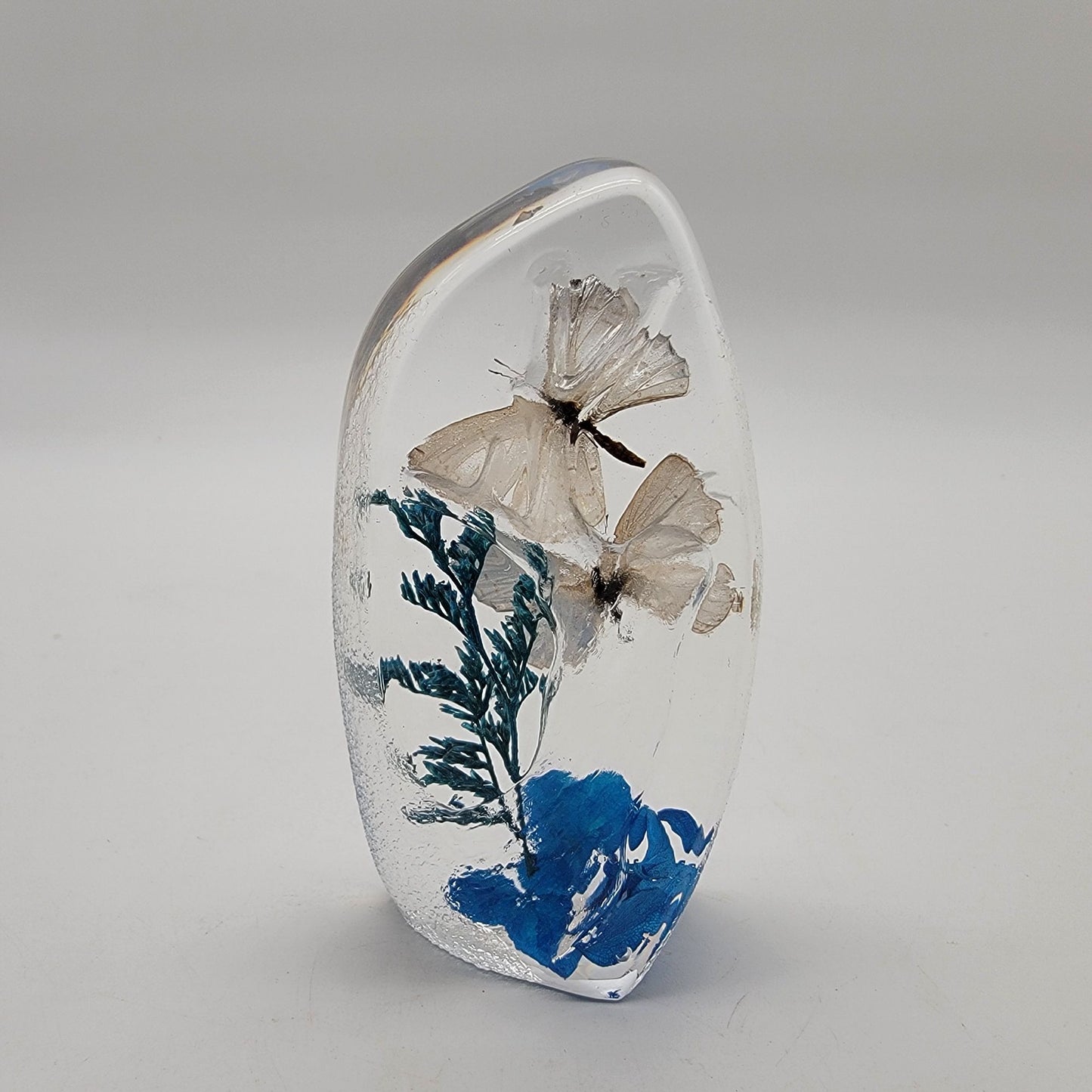 Short-Tailed Butterflies Taxidermy Acrylic Paperweight