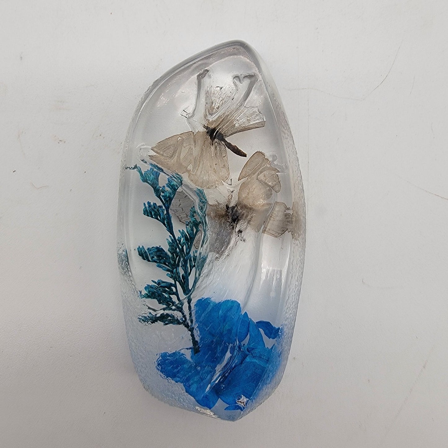 Short-Tailed Butterflies Taxidermy Acrylic Paperweight