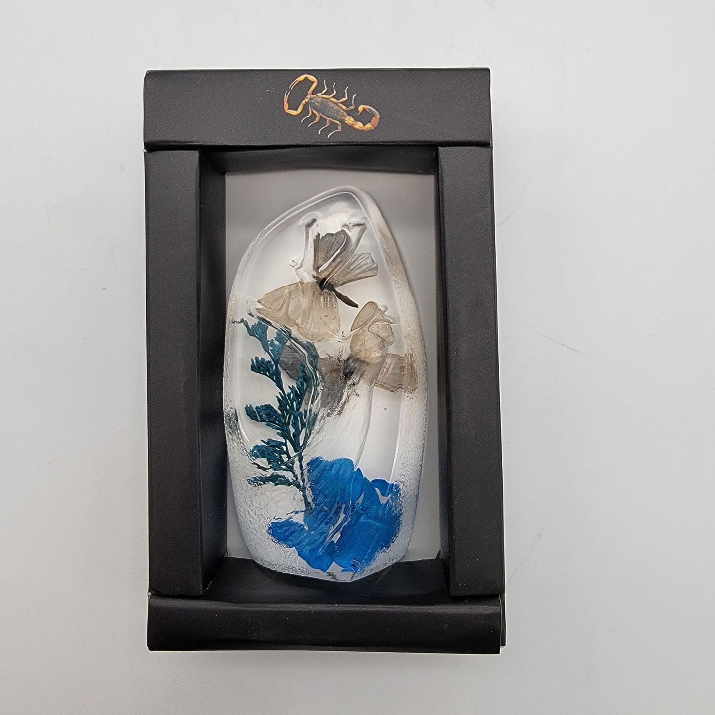 Short-Tailed Butterflies Taxidermy Acrylic Paperweight