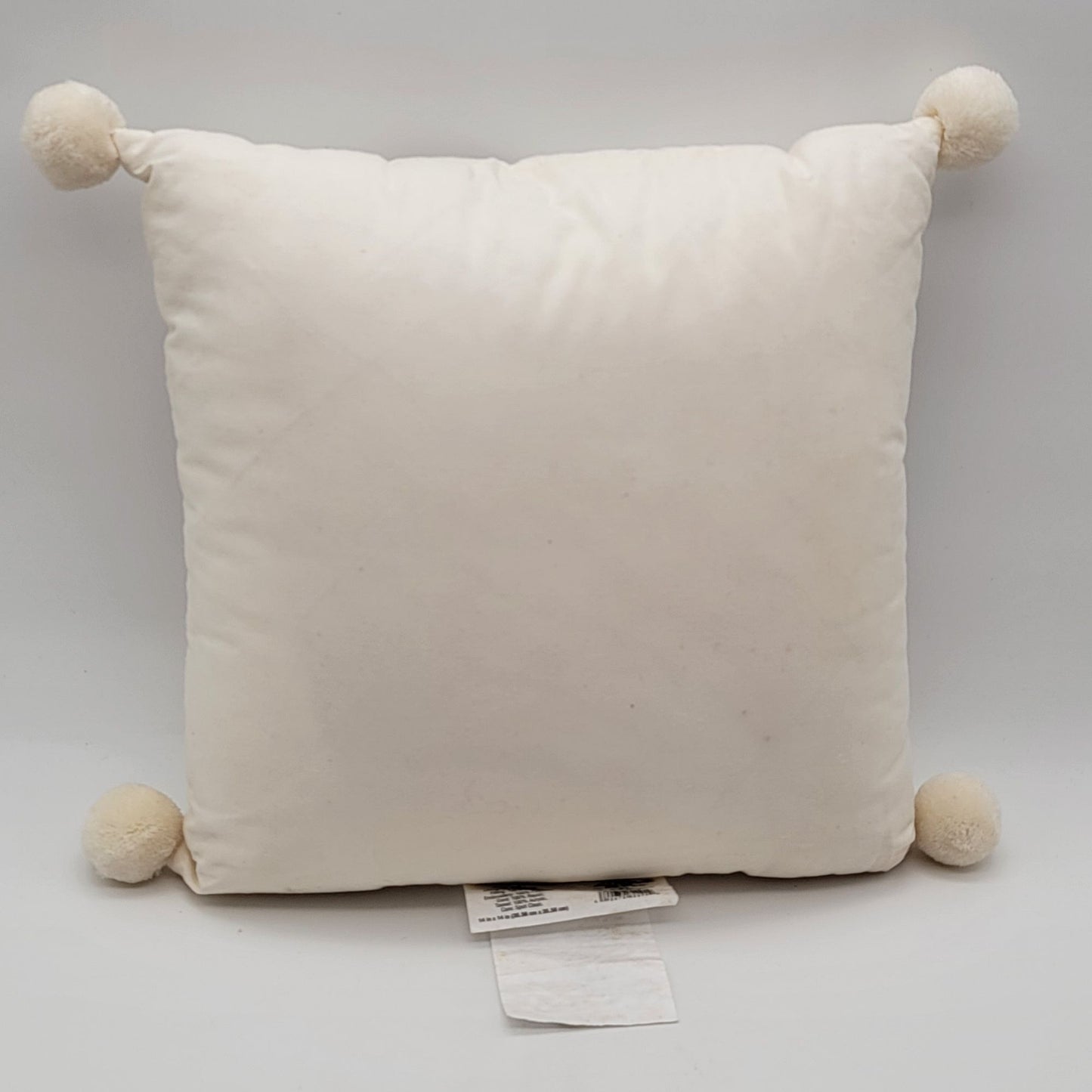 2018 Opalhouse Turkey Throw Pillow