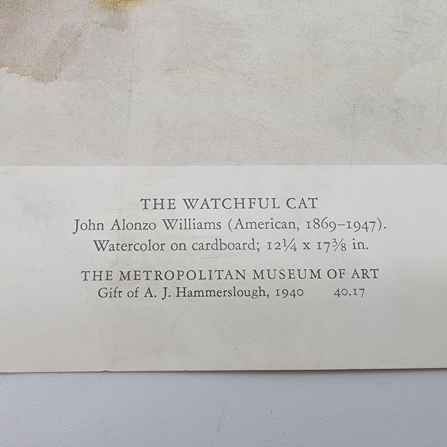 MMA The Watchful Cat By John Alonzo Williams Print Poster