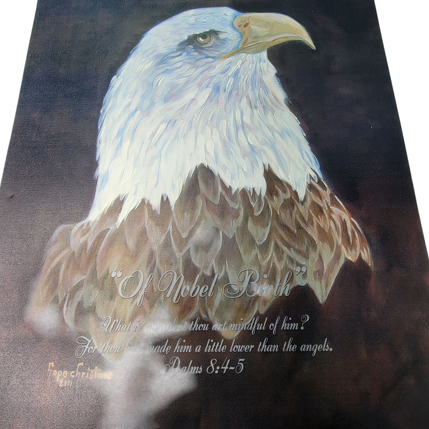 Hope Christine 2011 Eagle Print