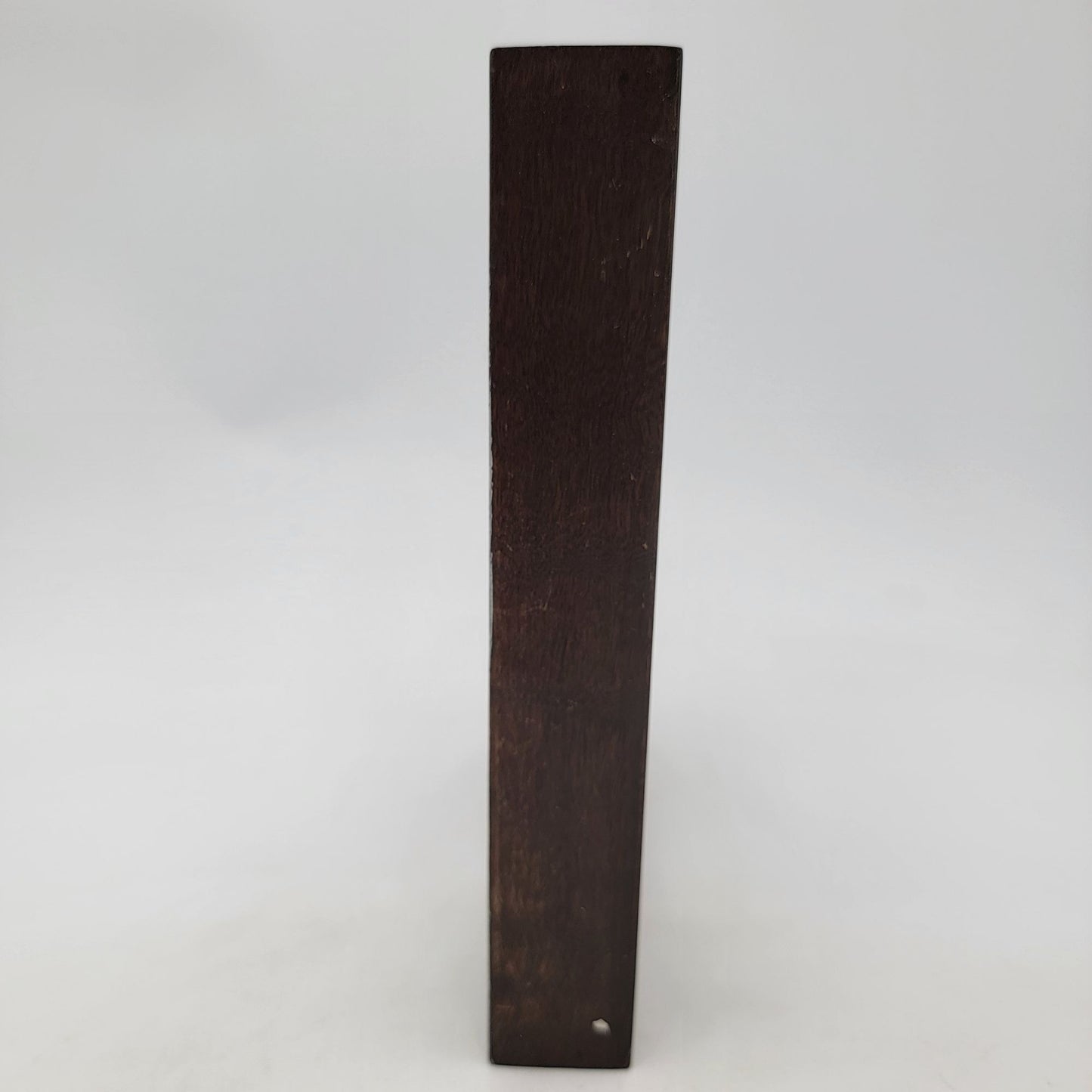 Vintage Butterfly Taxidermy Wall Art From Brazil