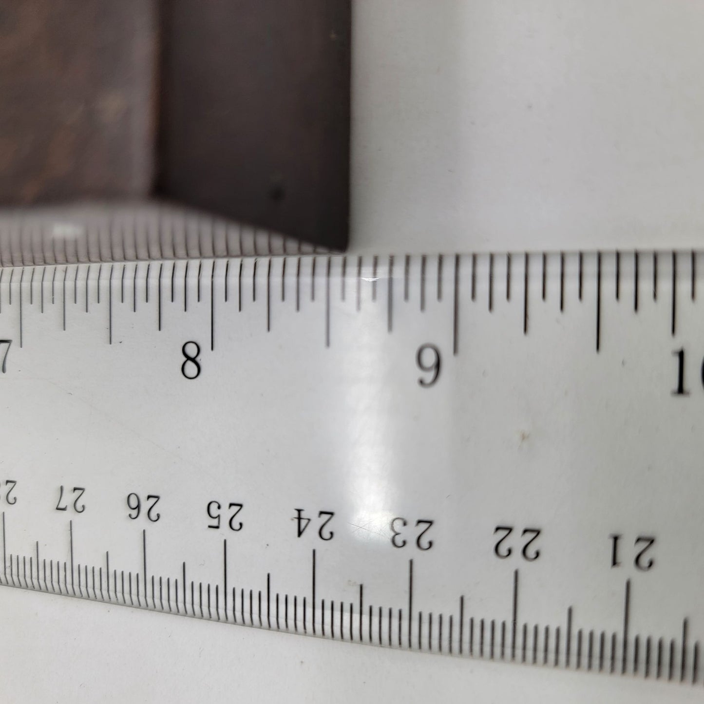 Vintage Butterfly Taxidermy Wall Art From Brazil