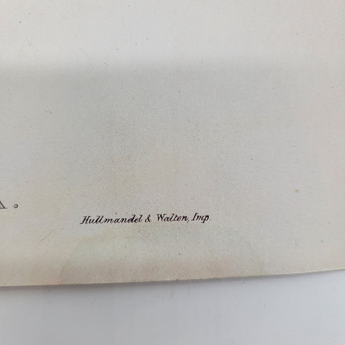 J.Gould & H.C.Richter Abeilles Hummingbird Myiabeillia Typica Portfolio Bookplate Lithograph Print