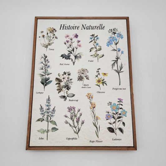 Histoire Naturelle Botanical Print Wall Art In Wood Frame
