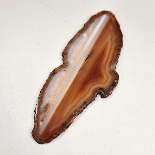 Natural Raw Edge Banded Chalcedony Agate Slice Specimen