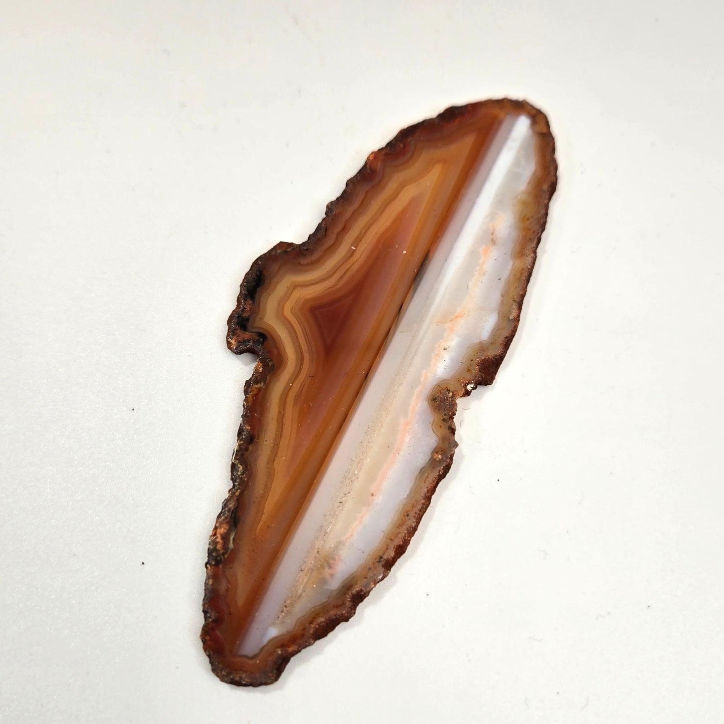 Natural Raw Edge Banded Chalcedony Agate Slice Specimen