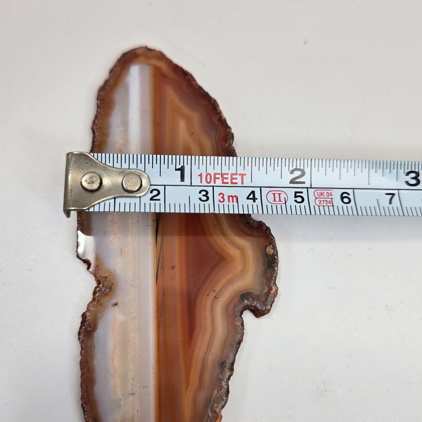Natural Raw Edge Banded Chalcedony Agate Slice Specimen
