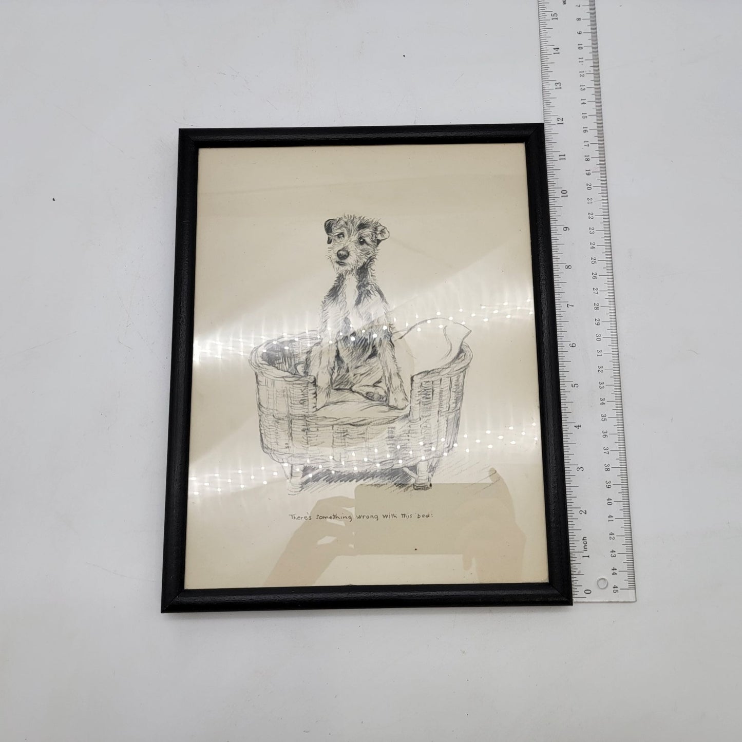 Vintage 1933 K F Barker Terrier Dog Framed Sketch Print "Theres Something Wrong With This Bed"