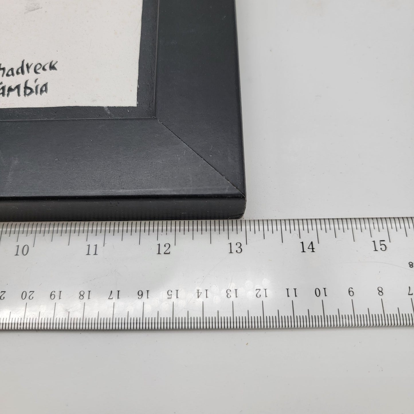 Colorful Zebra Painting By Shadreck Zambia