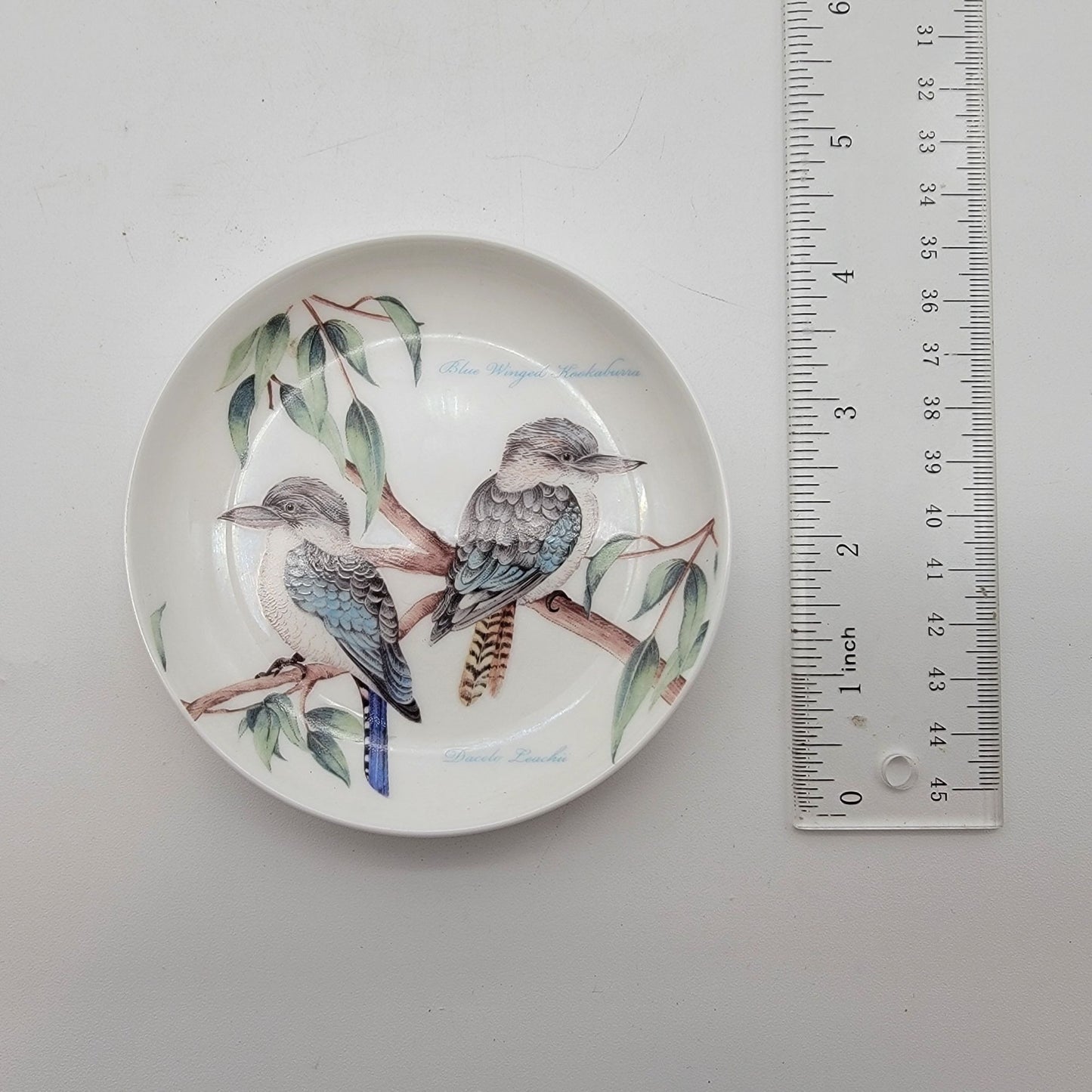 Dan Samuels Australia Blue Winged Kookaburra Bird Fine Bone China Trinket Dish