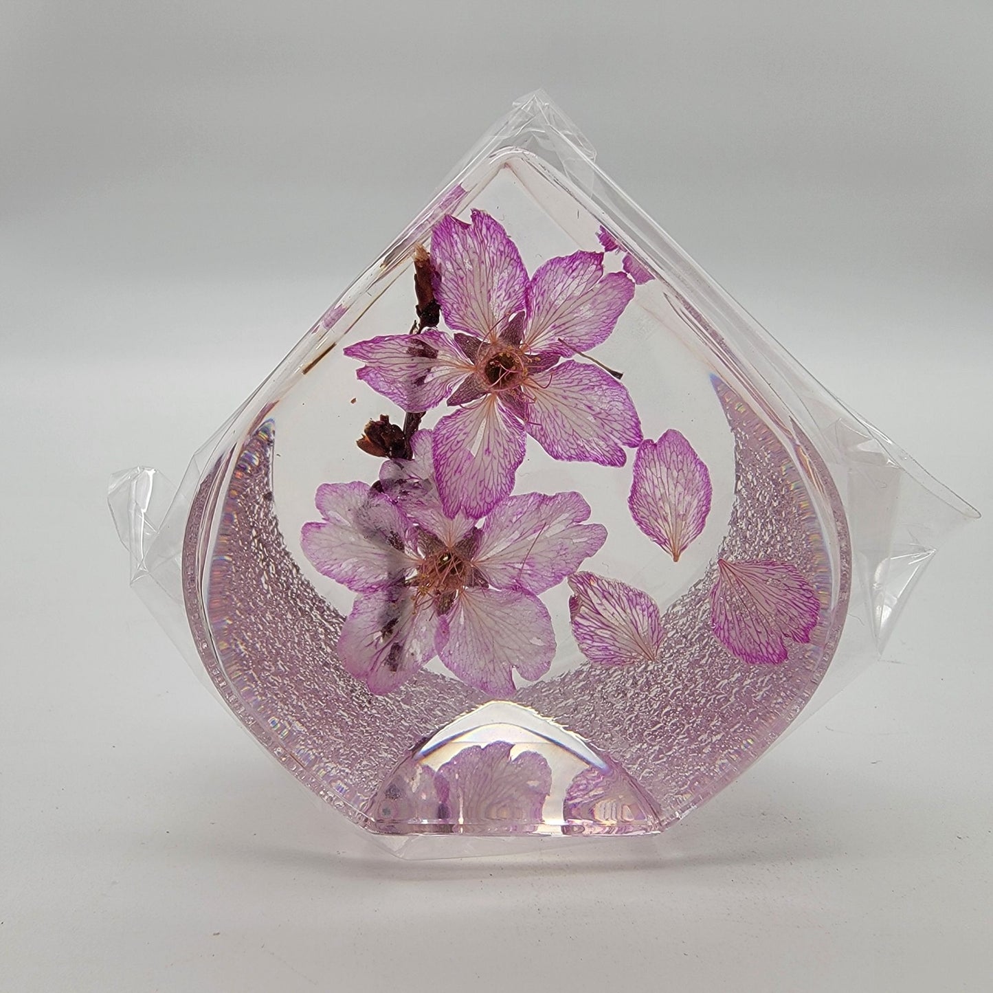 Eternal Cherry Blossom Sakura Teardrop Paperweight With Original Box