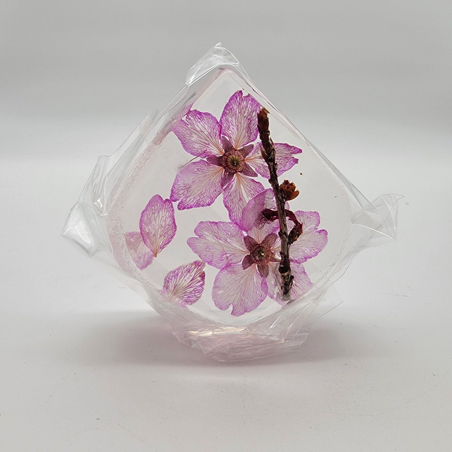 Eternal Cherry Blossom Sakura Teardrop Paperweight With Original Box