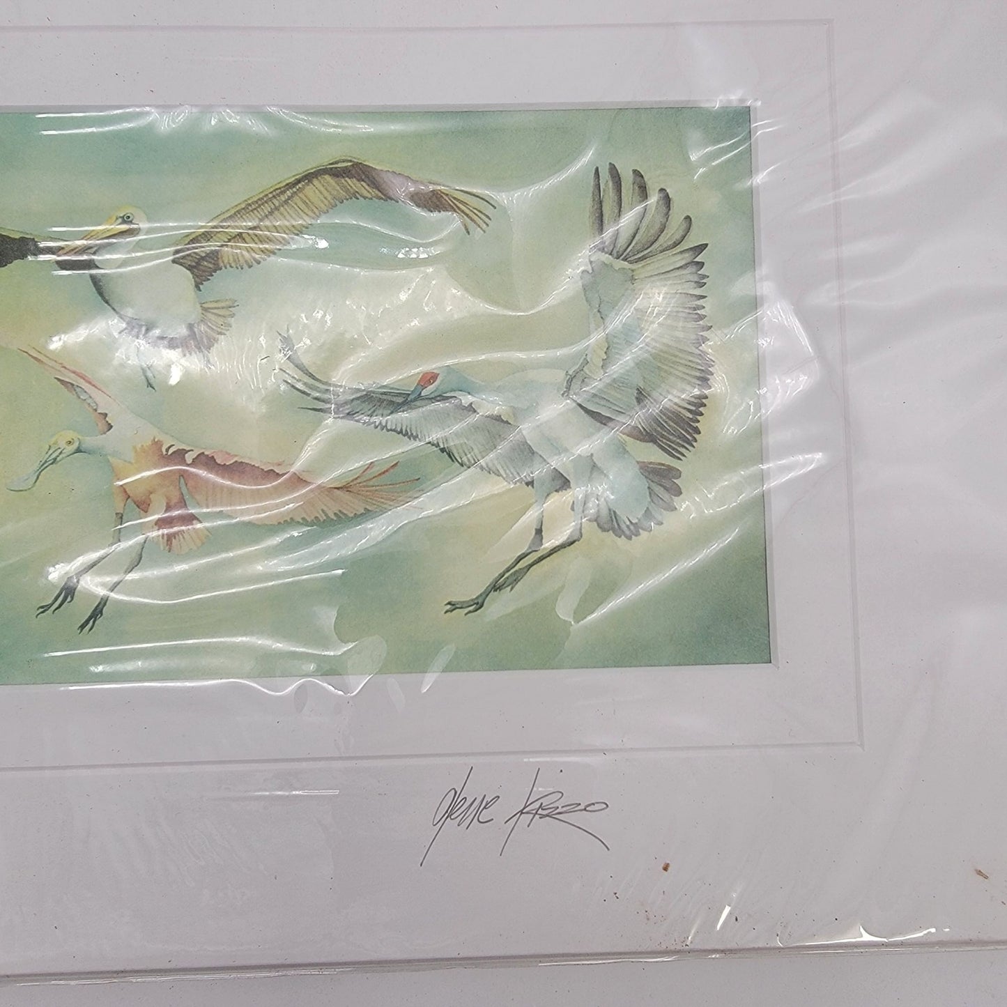 "Buzz Off - You Guys" Watercolor Art Print By Gene Rizzo Pencil Signed