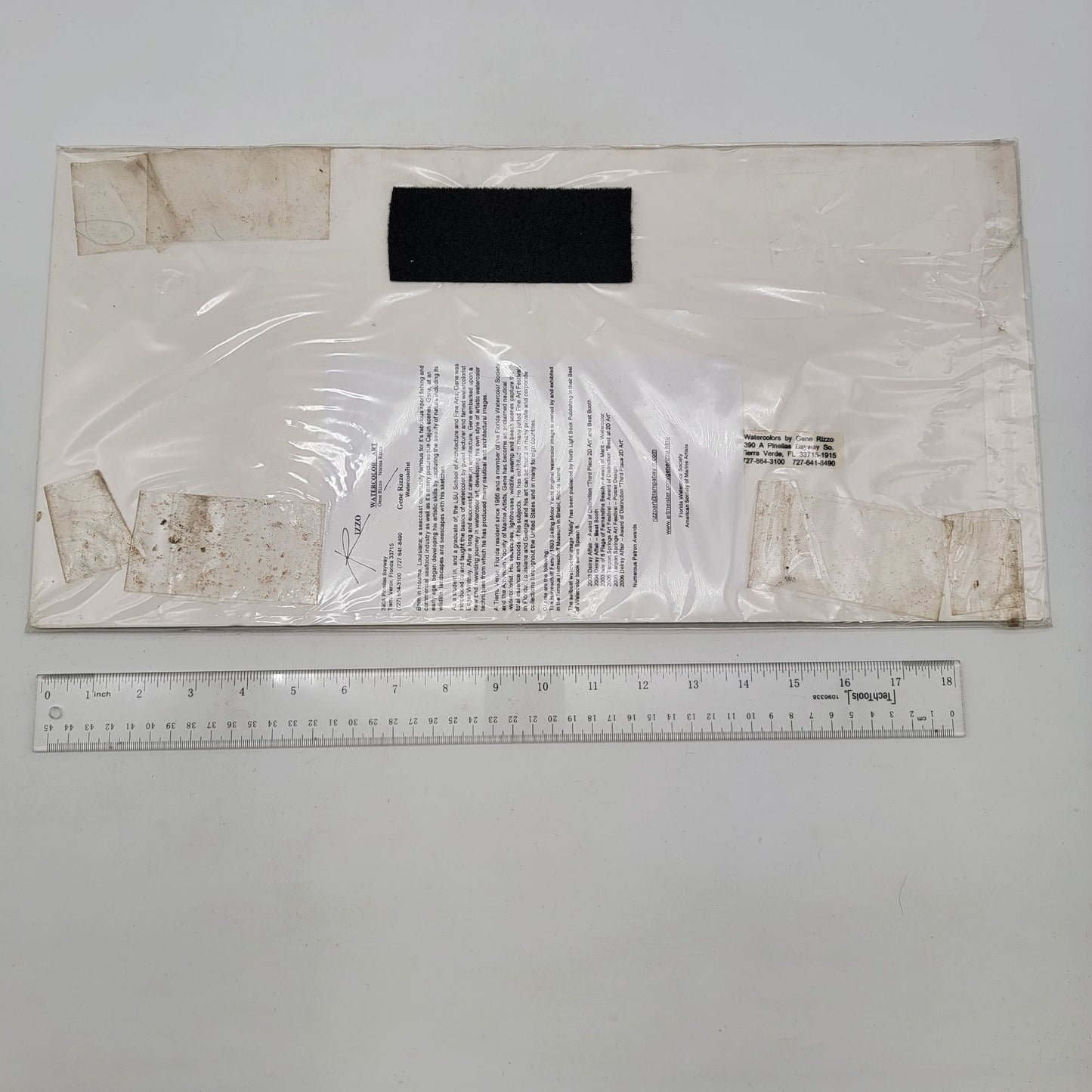 "Buzz Off - You Guys" Watercolor Art Print By Gene Rizzo Pencil Signed