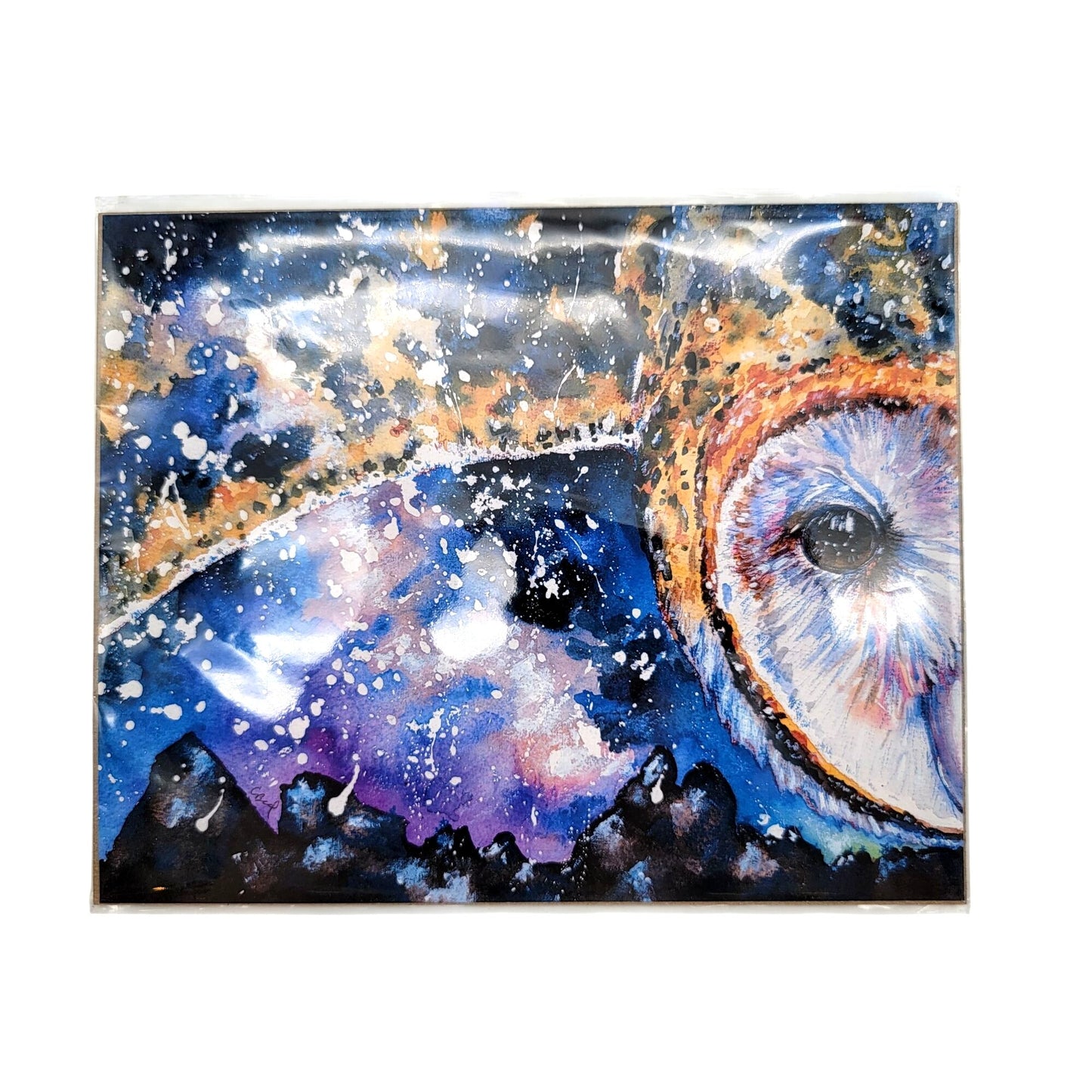 Phantom Of The Starry Foothills Barn Owl Art Print By Christina Baal COA 10" x 8"