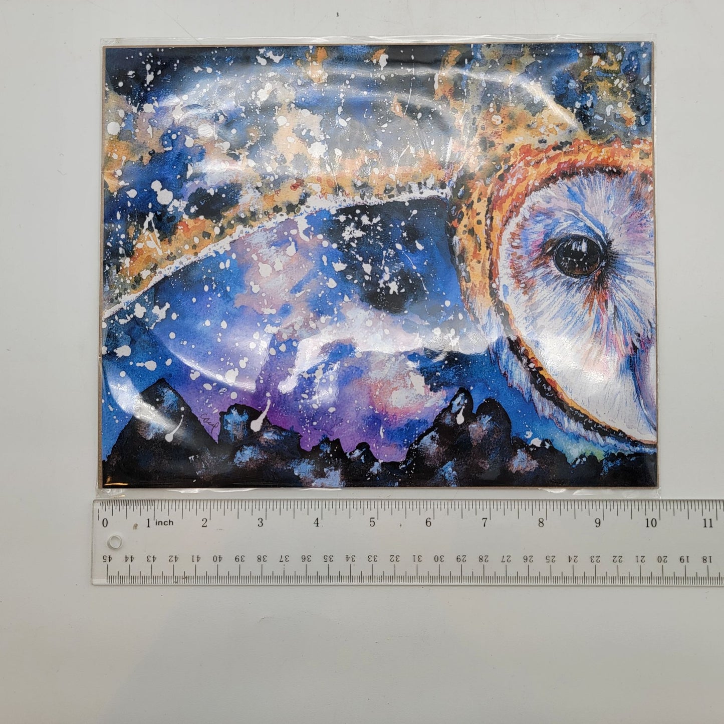 Phantom Of The Starry Foothills Barn Owl Art Print By Christina Baal COA 10" x 8"