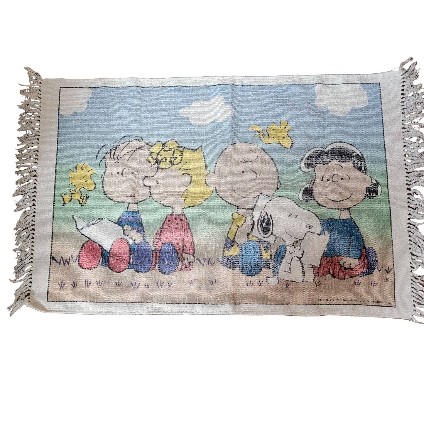 Peanuts Charlie Brown & Snoopy Woven Screened Rug