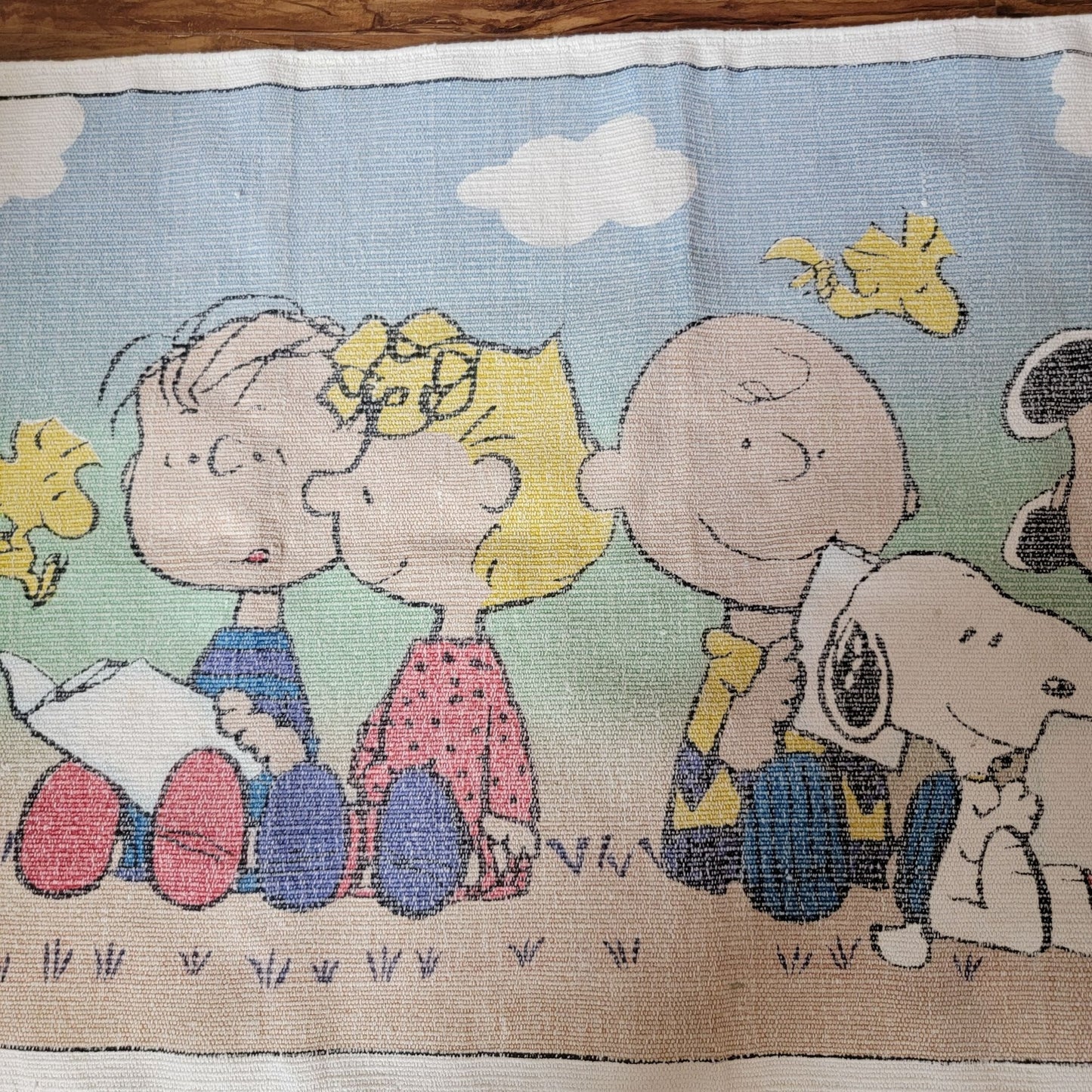 Peanuts Charlie Brown & Snoopy Woven Screened Rug