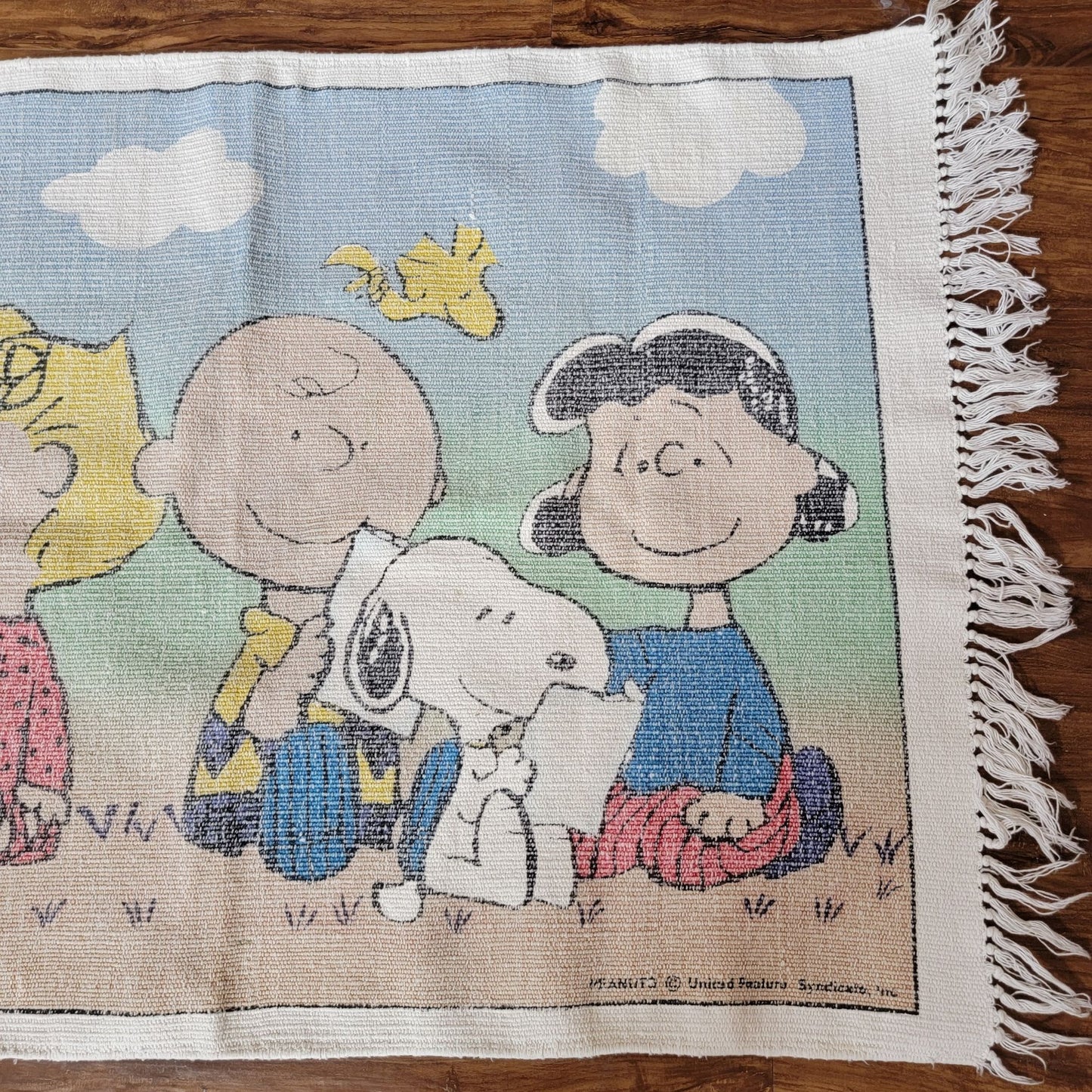 Peanuts Charlie Brown & Snoopy Woven Screened Rug